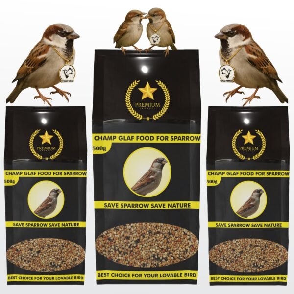 Sparrow Bird Food