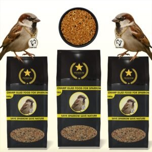 Sparrow Bird Food