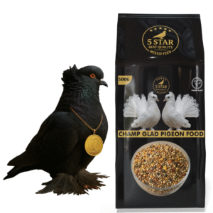 CHAMP GLAD® Premium Pigeon Mixed Seeds – Natural High-Energy Blend for Strong, Healthy Birds
