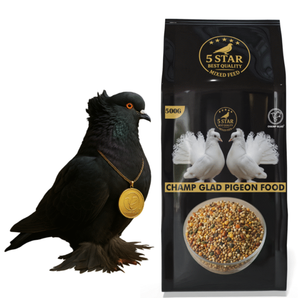 CHAMP GLAD® Premium Pigeon Mixed Seeds – Natural High-Energy Blend for Strong, Healthy Birds