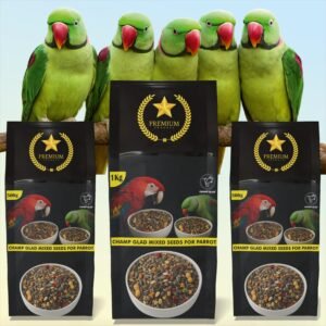 est Parrot Bird Food for Healthy Feathers & Growth – Natural Mixed Seeds